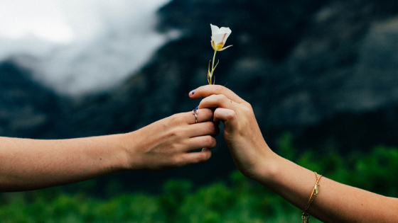 man giving a flower